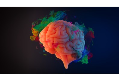 스크롤을 멈추게 하는 즐거움